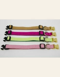 4 Paws Market Canvas Dog Collar