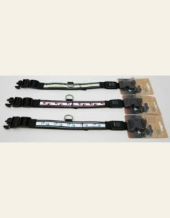 4 Paws Market USB Flashing Paws Collar