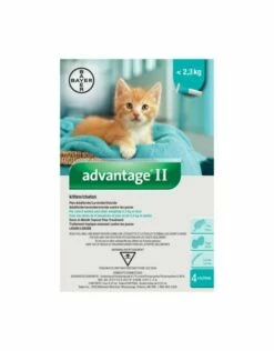 Bayer Advantage II Flea Protection