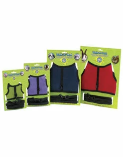 Walking Vest & Leash